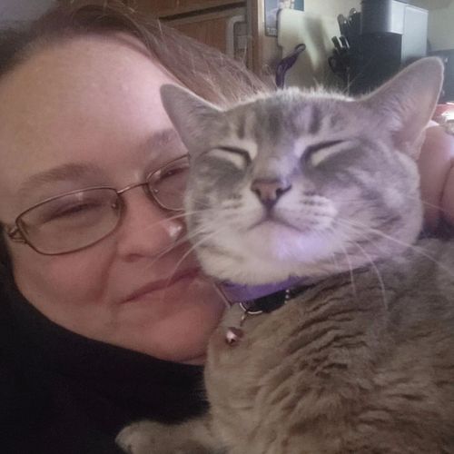 She's a happy kitty lol 💕
#catsofinstagram #cats #catlife