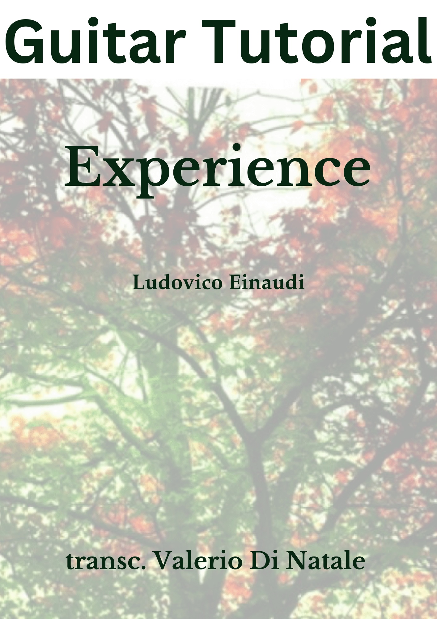Experience by Ludovico Einaudi. product image (1)