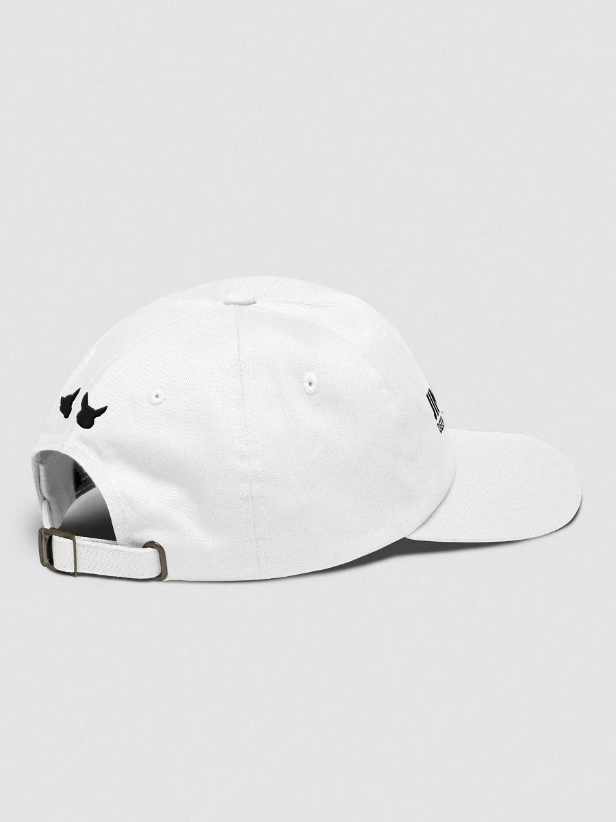JRDDC PAINTERS CAP product image (4)