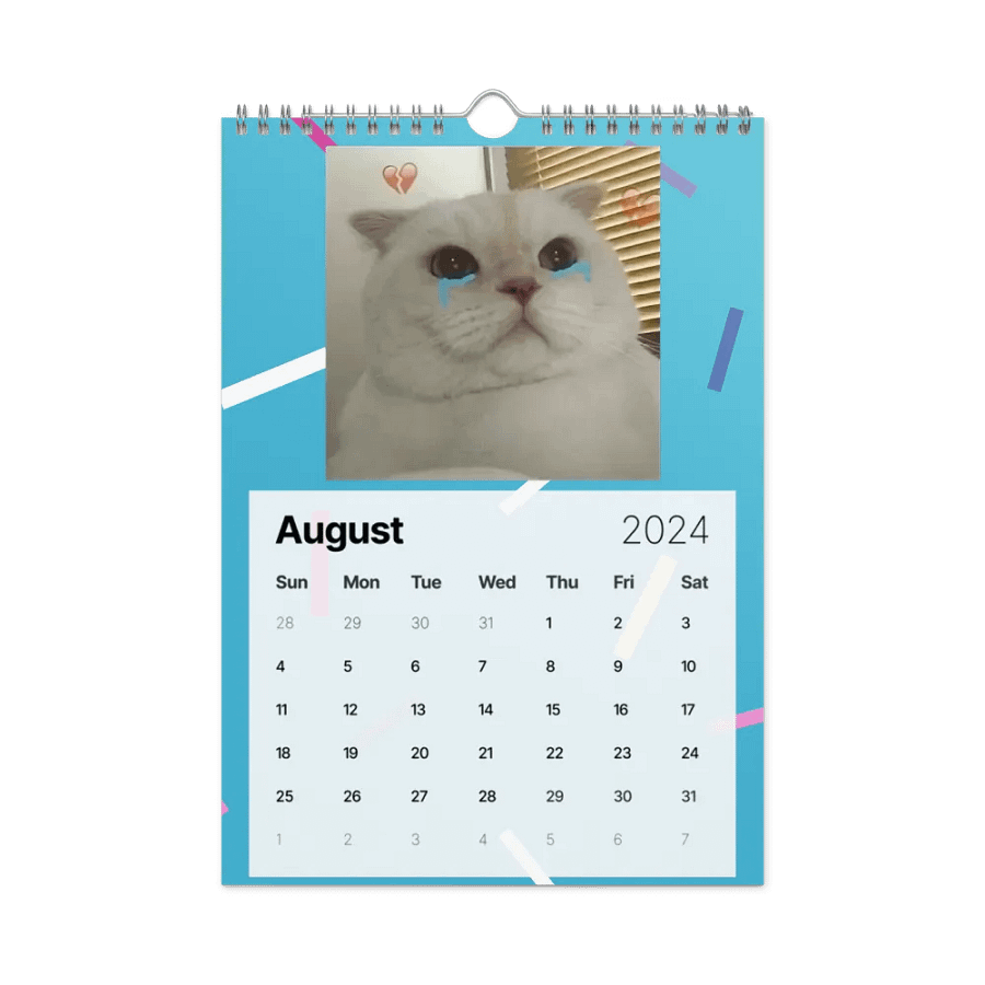 Wall Calendar (2024): Meme Cats product image (4)
