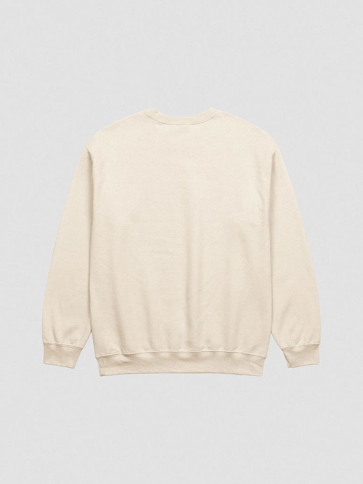 "Defy the Odds " sweatshirt product image (6)
