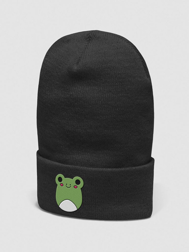 Squishy Frog Embroidered Beanie product image (2)