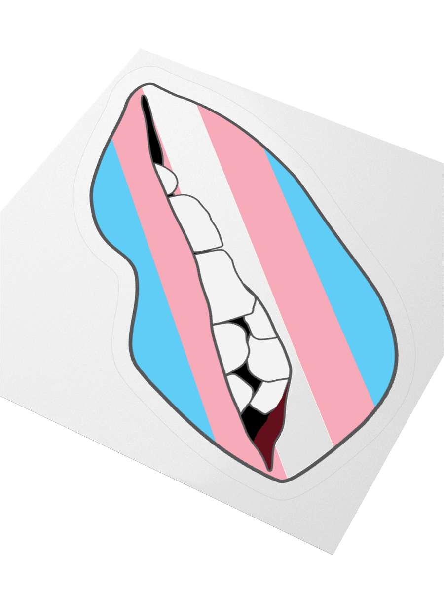 Trans Pride Flag Biting Lips Sticker product image (9)