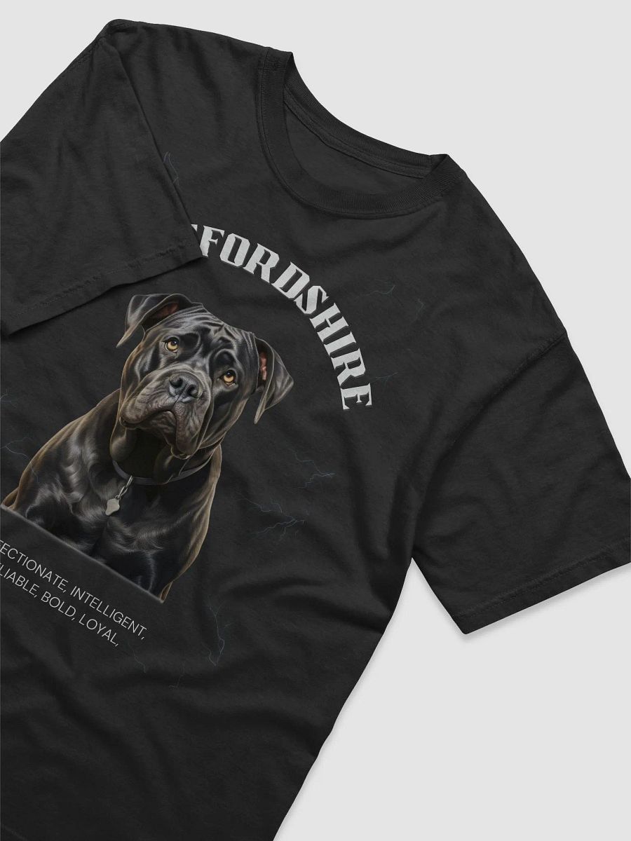 Dark Color Staffordshire Relaxed Fit T-shirt product image (4)