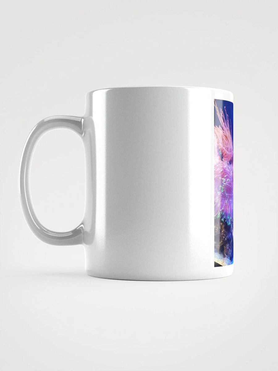 colourful product image (6)