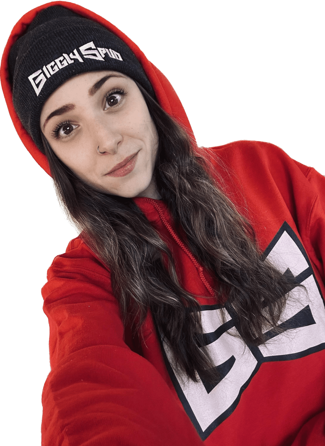 THEE Iconic Spud Hoodie product image (1)