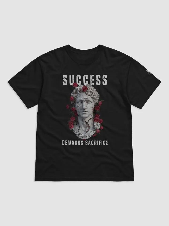 Success Demands Sacrifice product image (1)