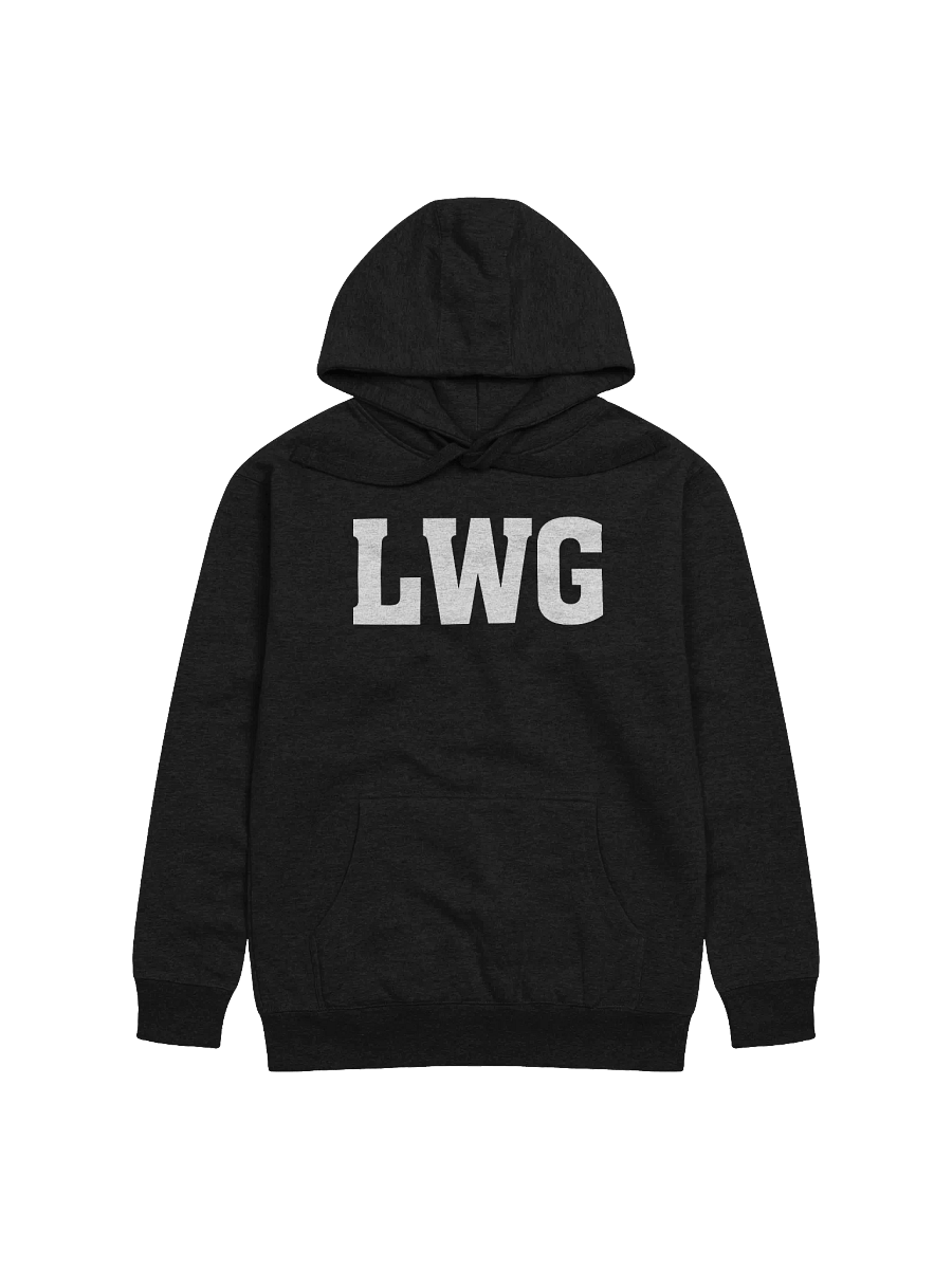 LWG Bold Unisex Hoodie product image (2)