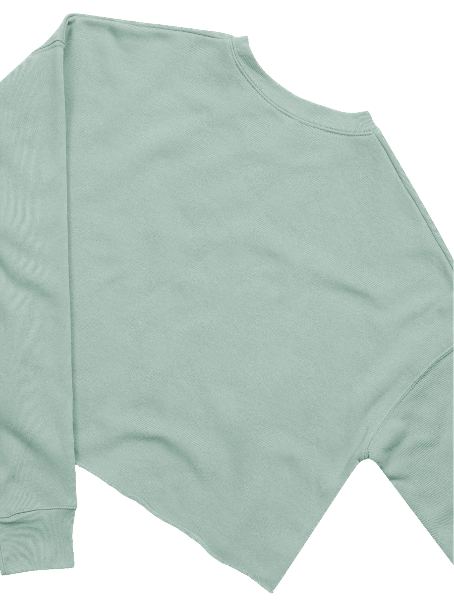 Variety is the Spice of Life - Bella+Canvas Women's Fleece Crop Sweatshirt product image (30)
