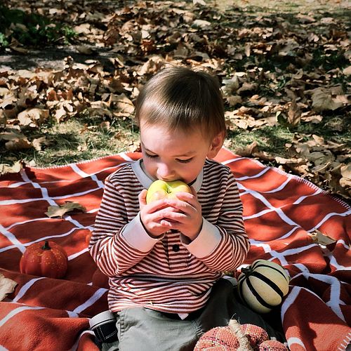 Family fall photos