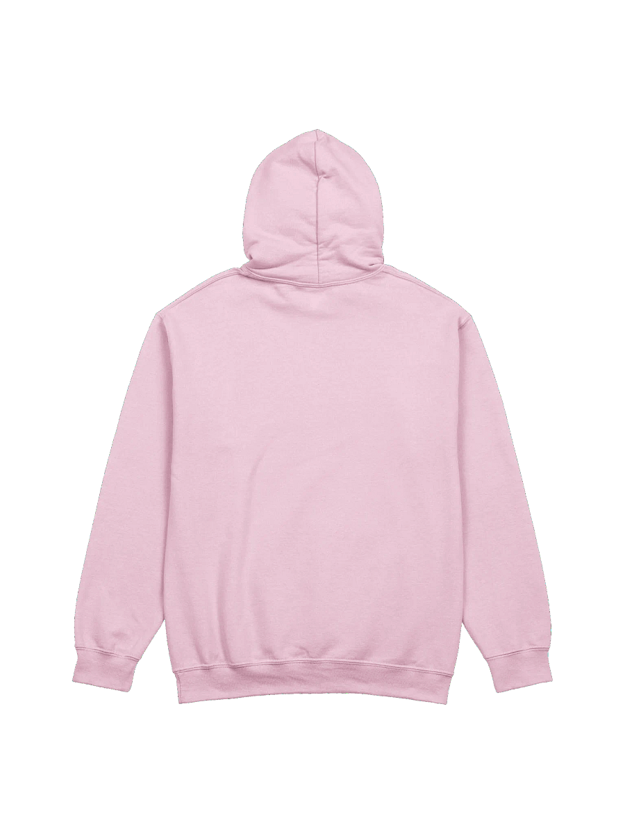 college logo — pastel hoodie product image (3)