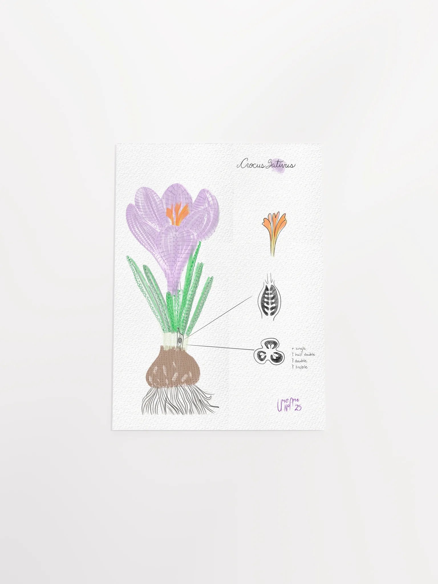 Crochet Vision: Crocus Print product image (7)