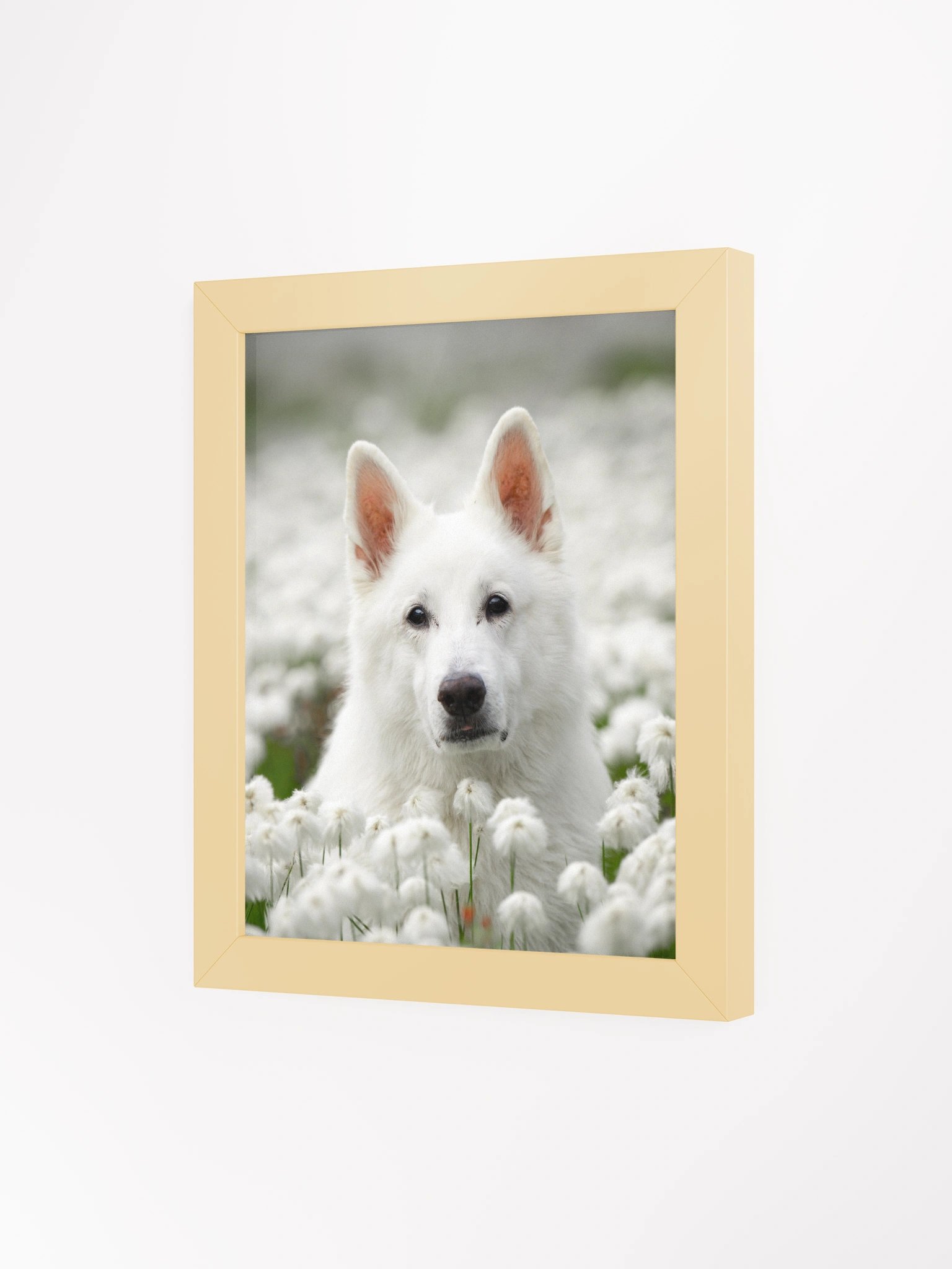 Rasta in the Wool grass product image (38)