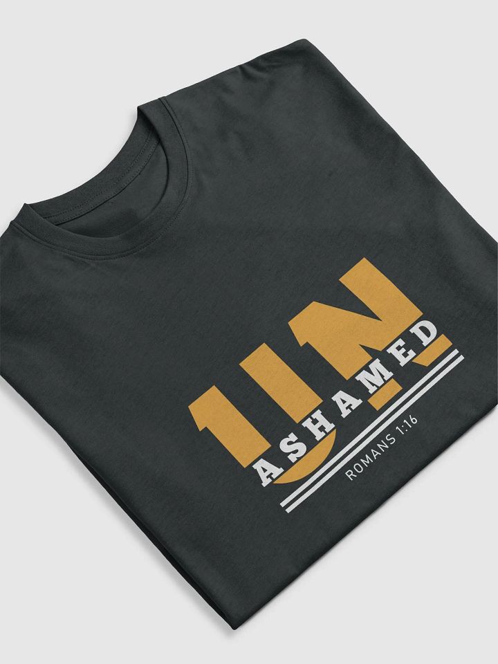 Unashamed Premium Heavyweight Tee product image (2)