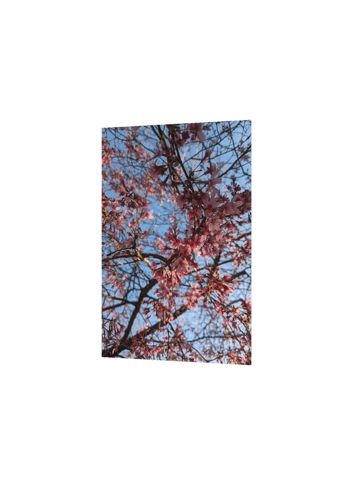 Baby Blossoms Poster product image (2)