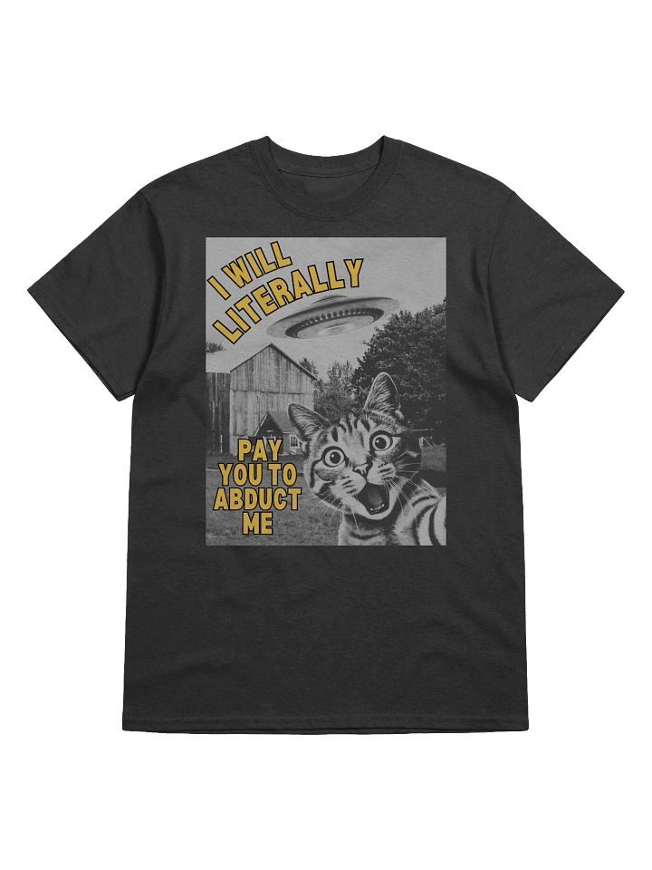 I Will Literally Pay You To Abduct Me T-Shirt product image (1)