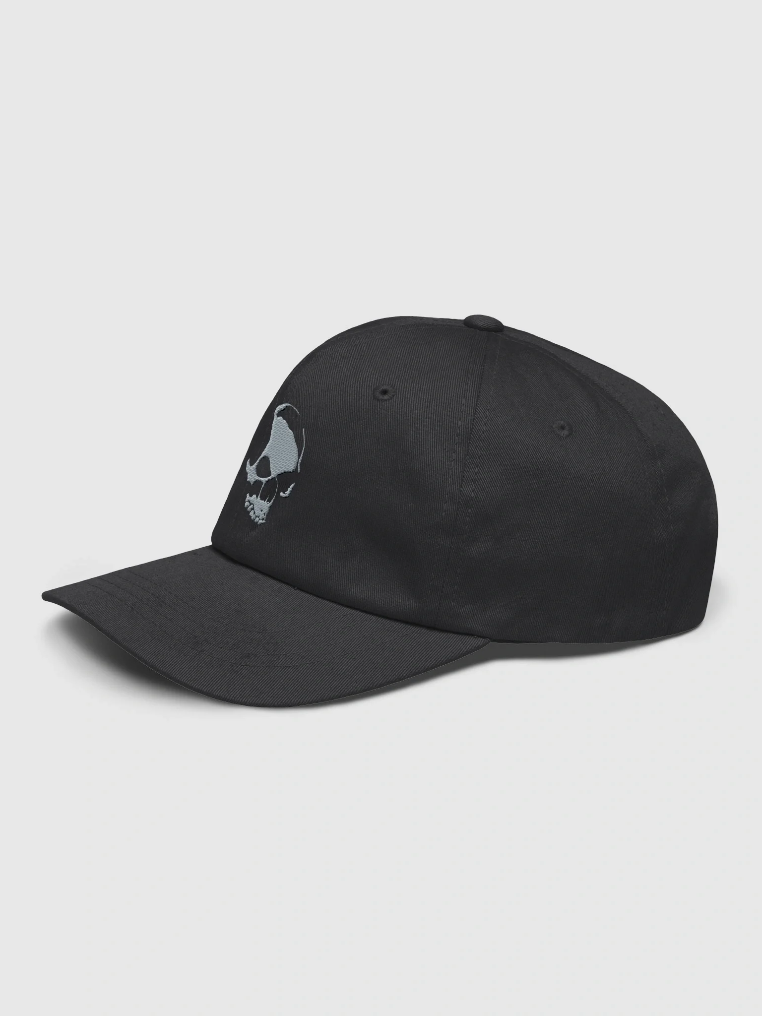 Armada Skull Dad Hat product image (35)