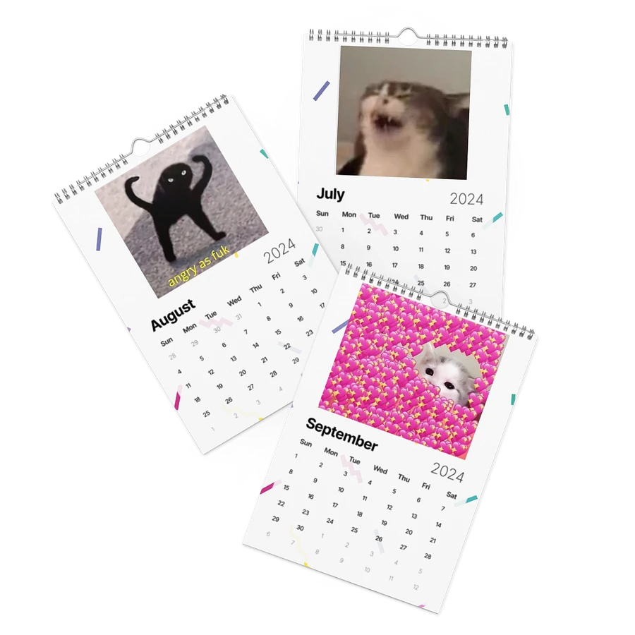 Wall Calendar (2024): Meme Cats product image (11)