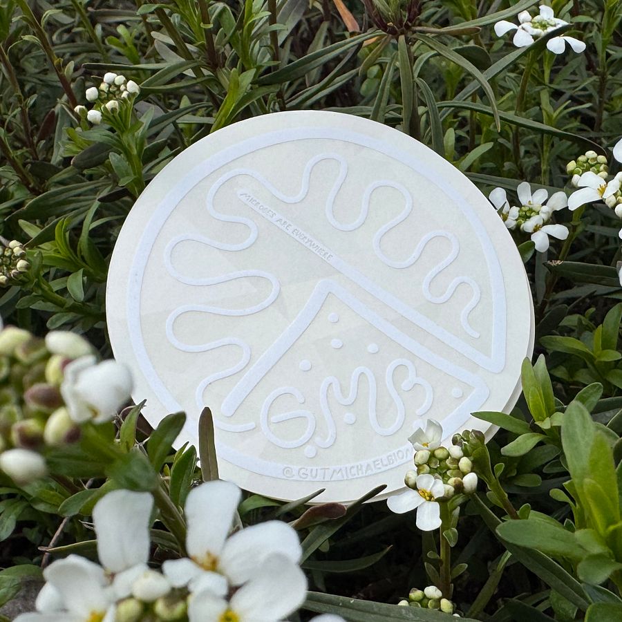 Microbes are Everywhere product image (3)