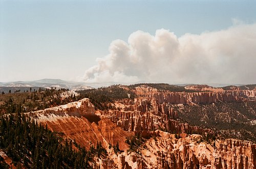 Film vs Digital 
Santacolor 100 lab scans vs Canon R6 camera standard profile 

This film has a clear base as opposed to the ...