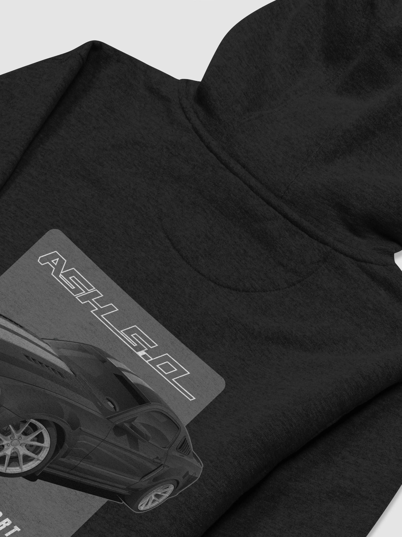 Hoodie - Ashton's S197 product image (4)