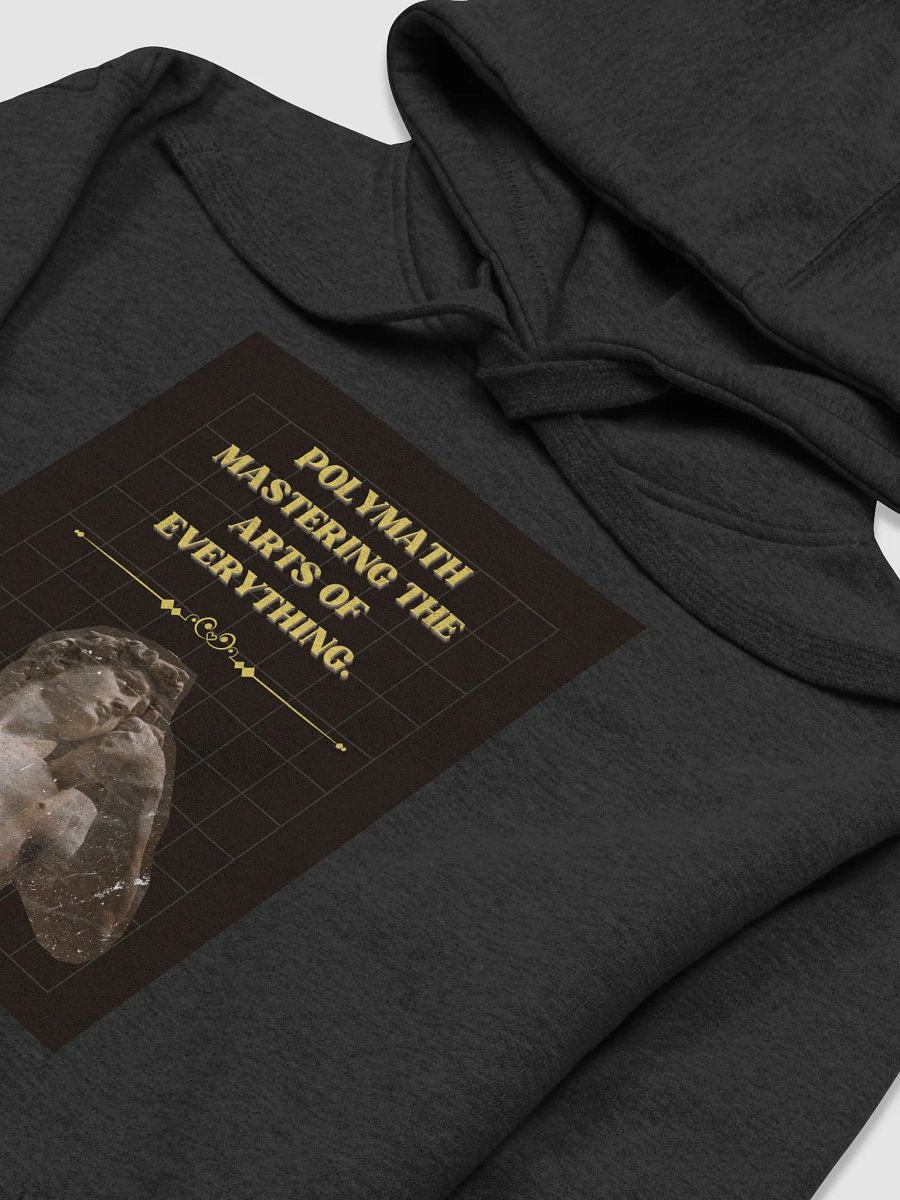 POLYMATH HOODIE (C) product image (3)