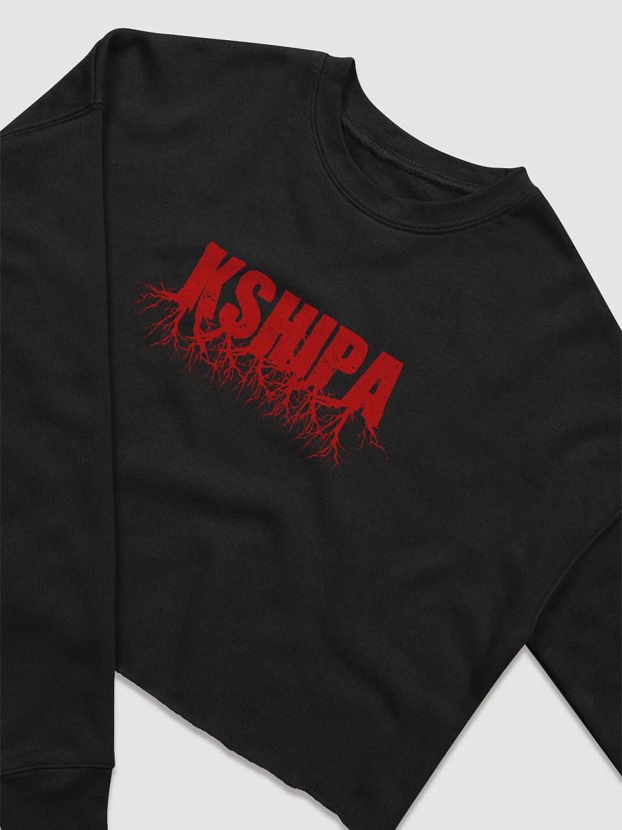 Kshipa Crop Fleece Sweater product image (3)