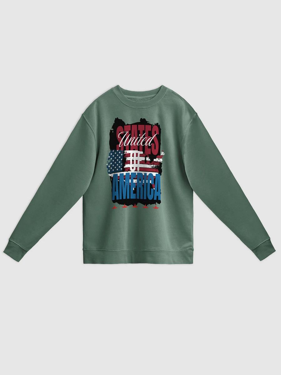 American flag Sweatshirt product image (2)