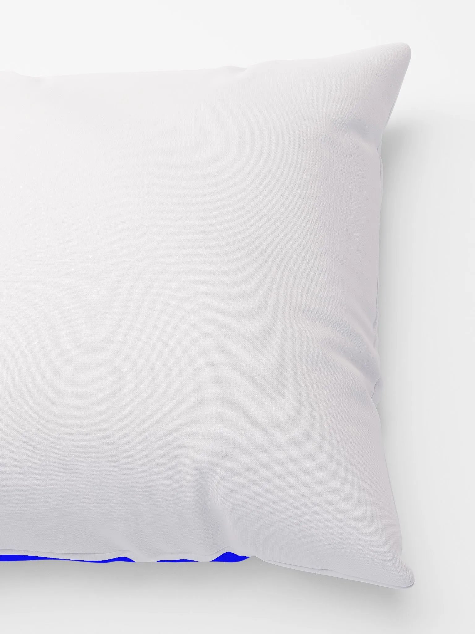 DIARRHEA MEGAN PILLOW product image (3)
