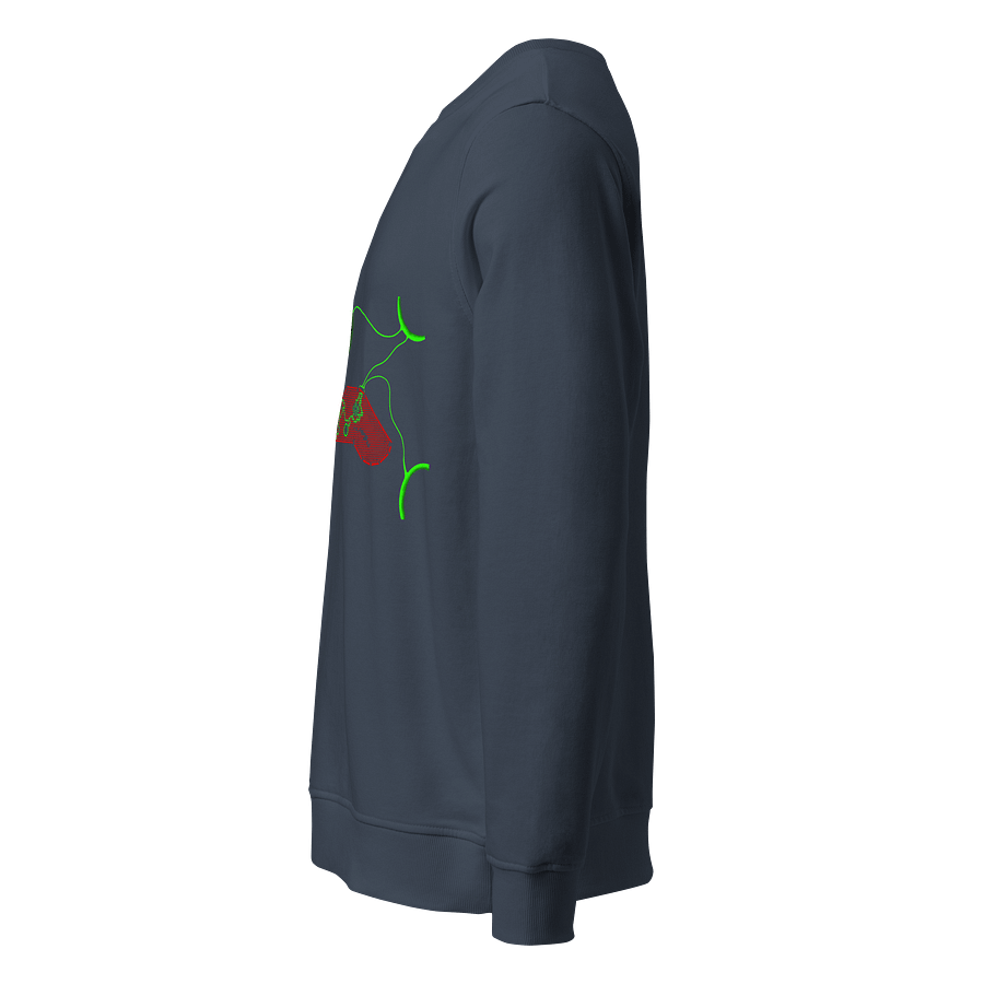 Galactic Connection Organic Sweatshirt product image (3)