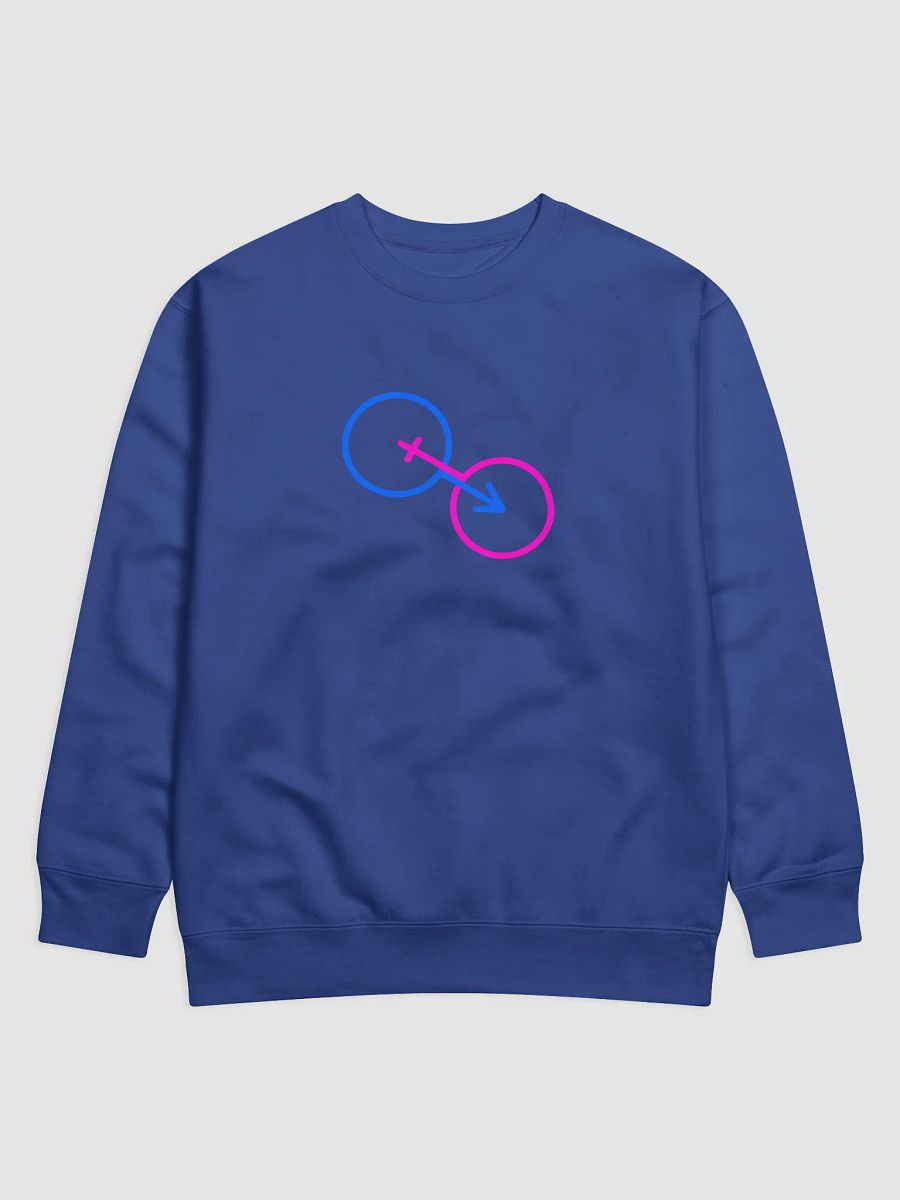 Interconnected Male & Female Only Premium Sweatshirt product image (1)