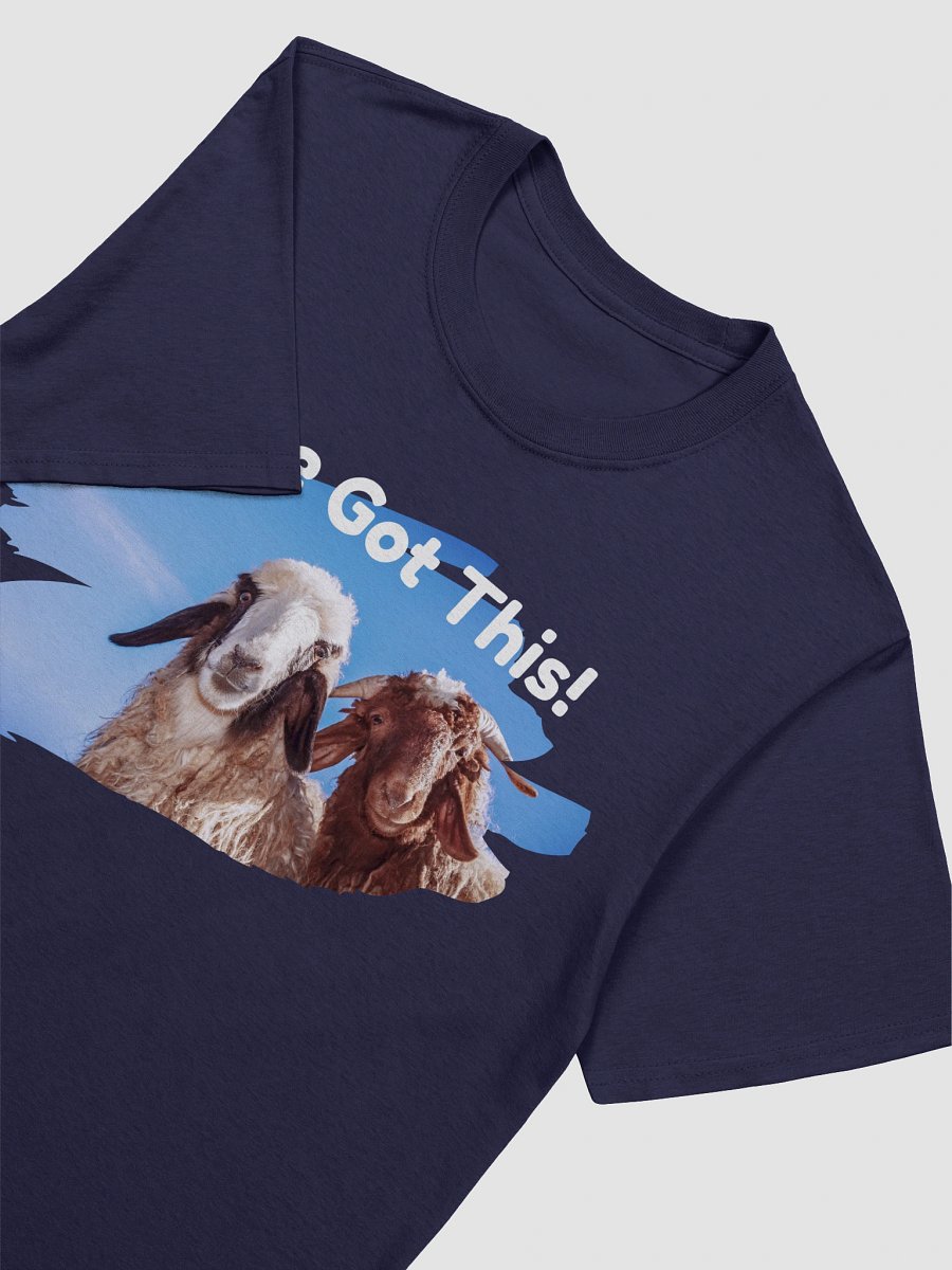 Ewe Got This! Graphic Tee product image (101)