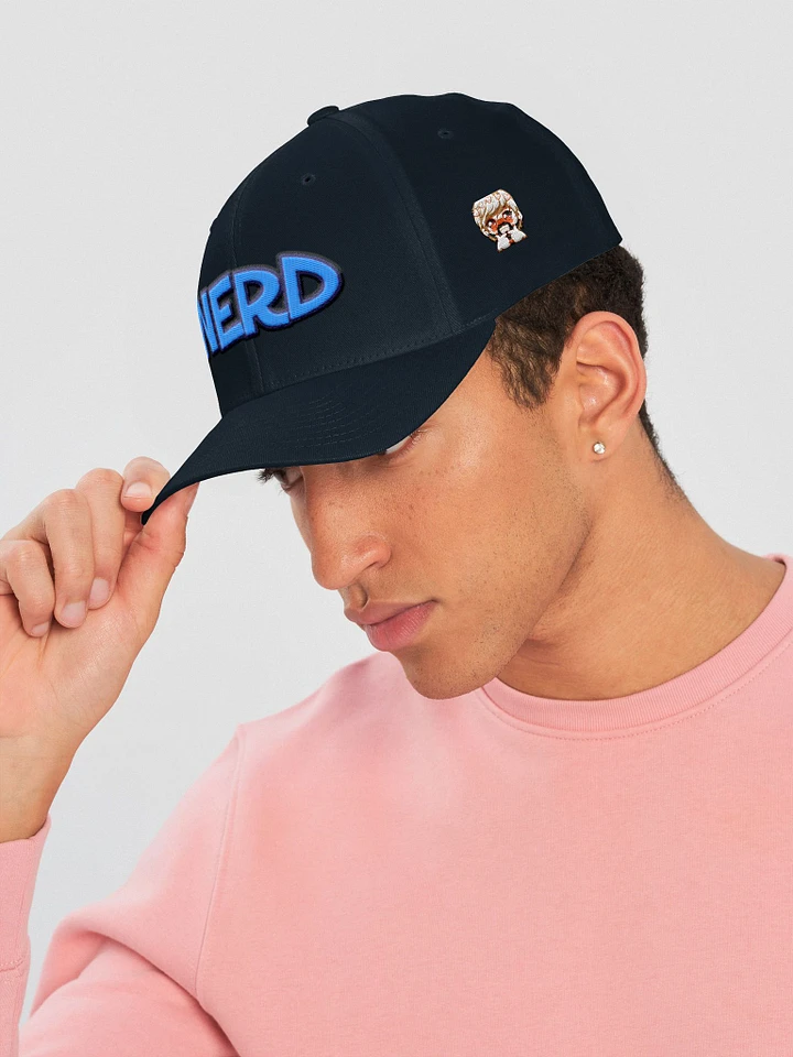 NERD Fitted Cap product image (2)