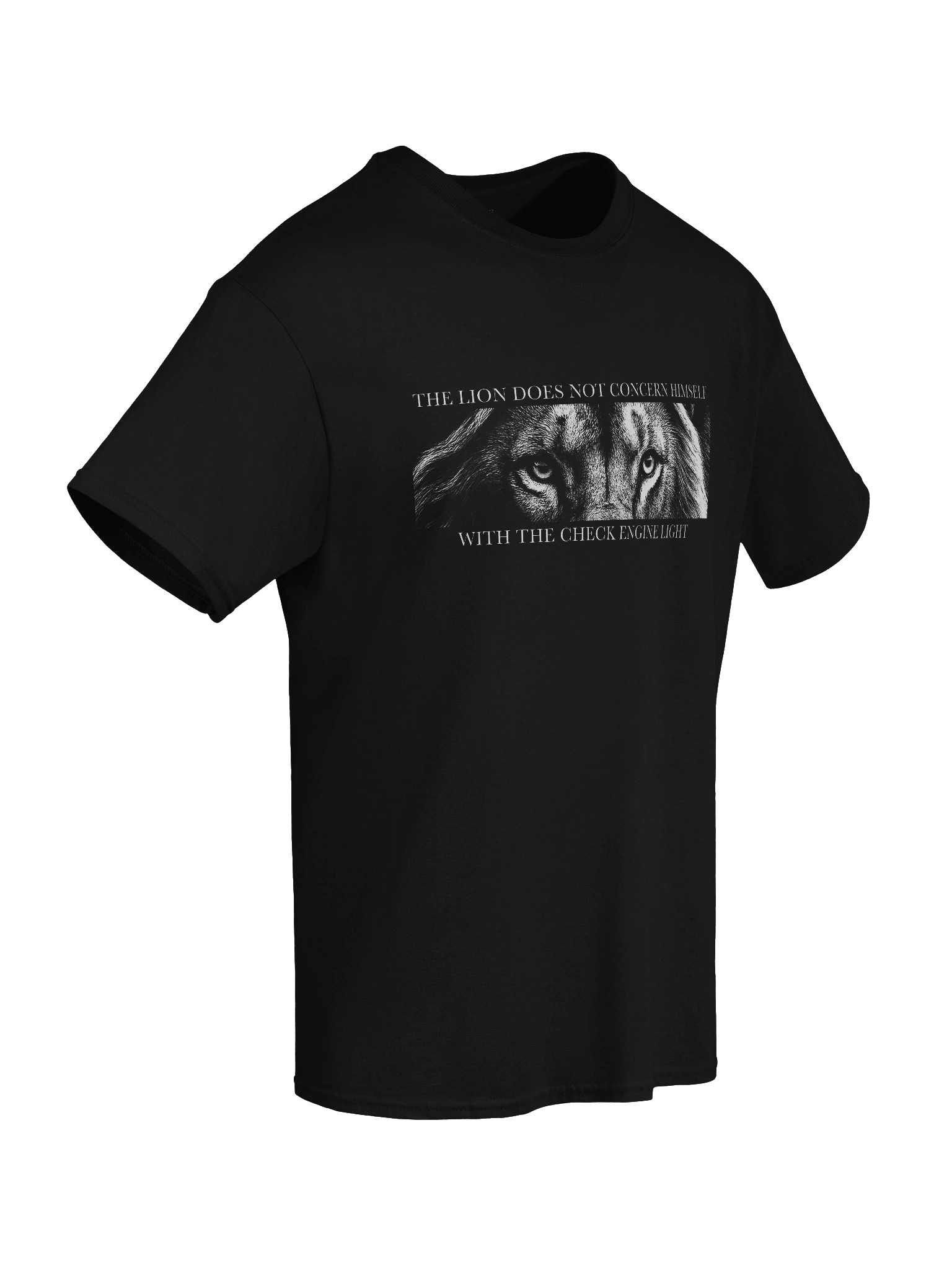 Check Engine Light product image (8)