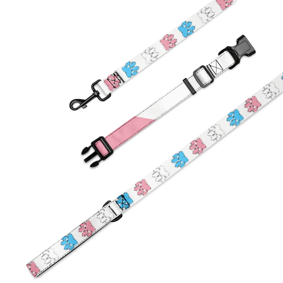 Trans Pride Collar and Leash product image (1)