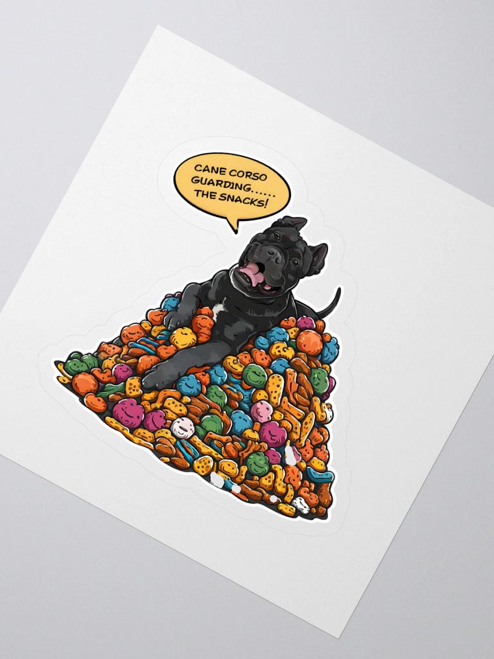 Cane Corso 