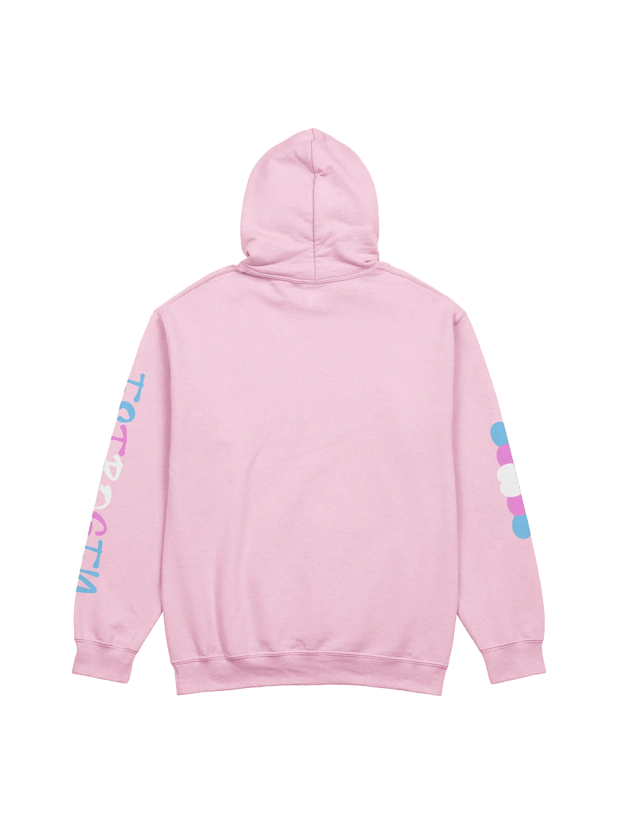 Proud Estrogen User Hoodie product image (2)