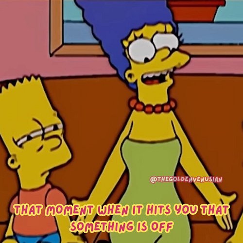 Listen to your intuition, babe. It'll save you from another headache. 
. . . .

#intuition #memes #thesimpsons