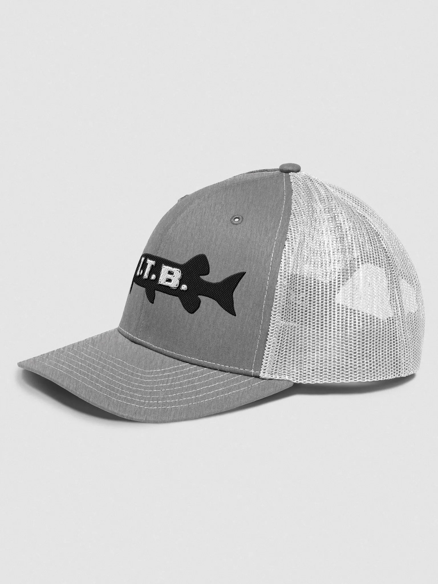 Logo Hat (Light Colors) product image (7)