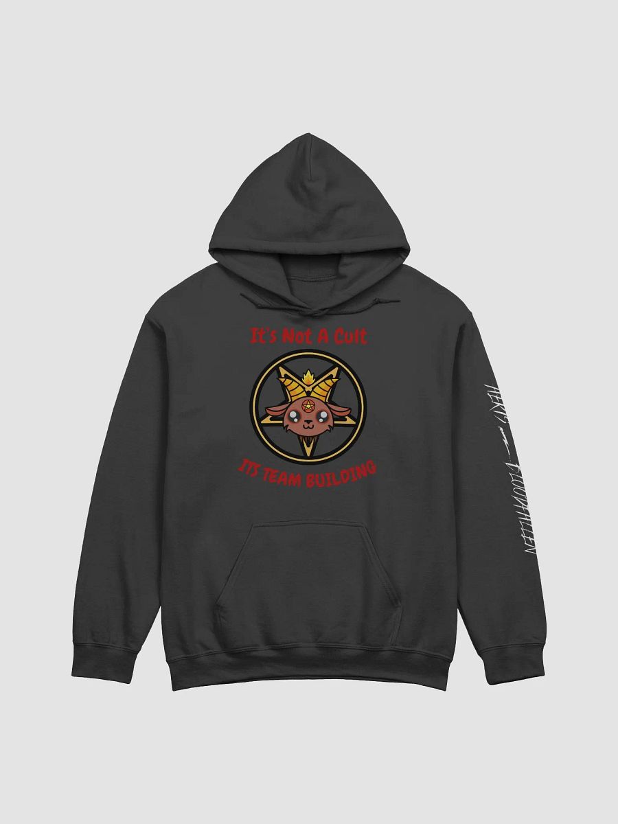 TeamBuilding_Hoodie product image (5)