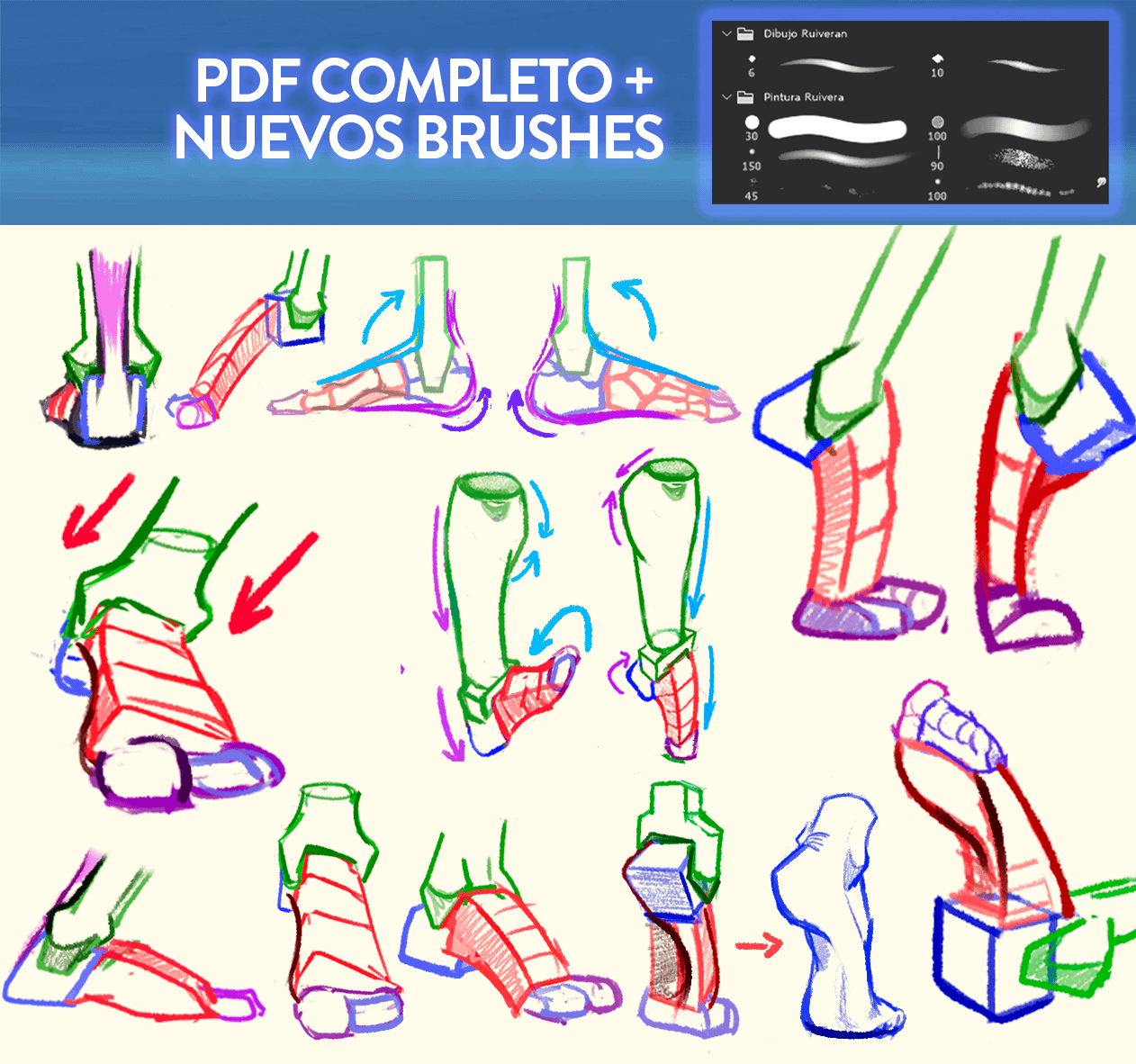 DIBUJA ANATOMÍA EN ACCIÓN (Full PDF)+ Pinceles 2025 + Rutina de Prácticas product image (4)