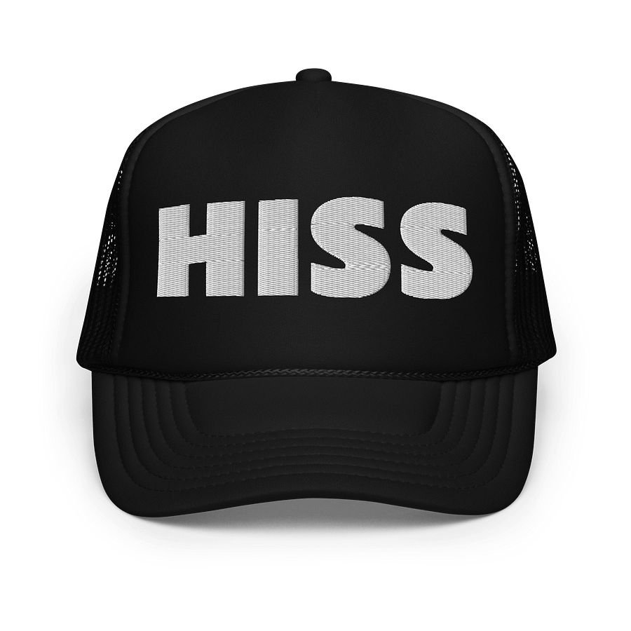 Embroidered HISS Hat - White Thread Collection product image (1)
