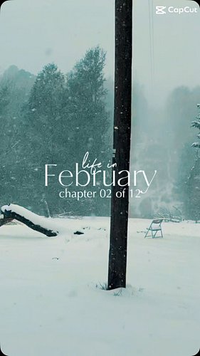 February 2025 was freezing, yet beauty still shone through. Go behind the scenes at Camp Wilder and the Do Good Work Studio.