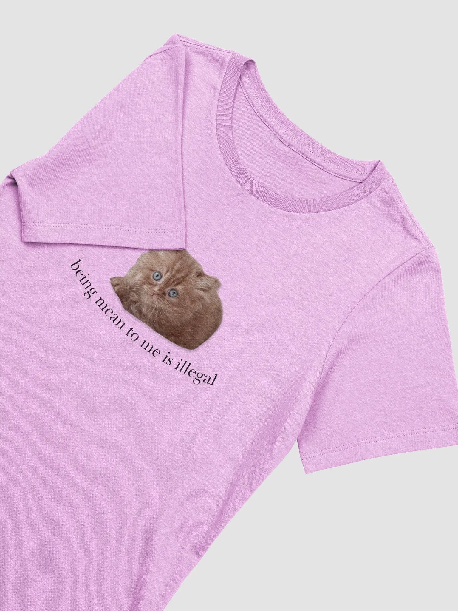 Being mean to me is illegal women's tee 🎀 product image (3)