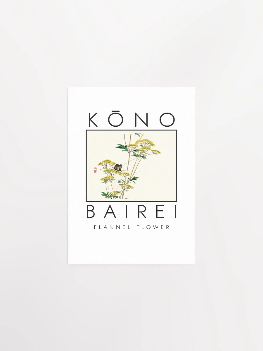 Kono Bairei Flannel Flower Poster product image (2)