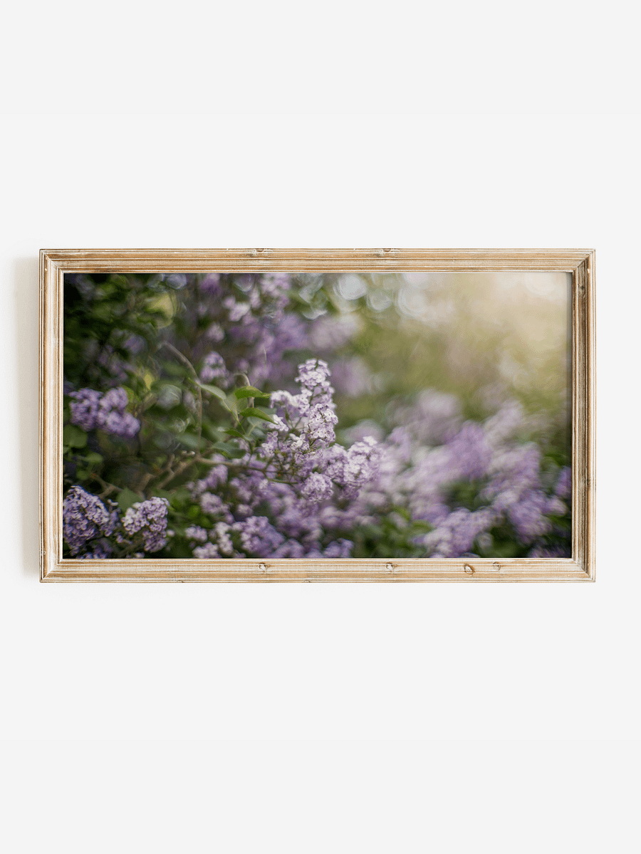 Bokeh Spring Lilacs by Caroline Jensen | Frame TV Art product image (1)