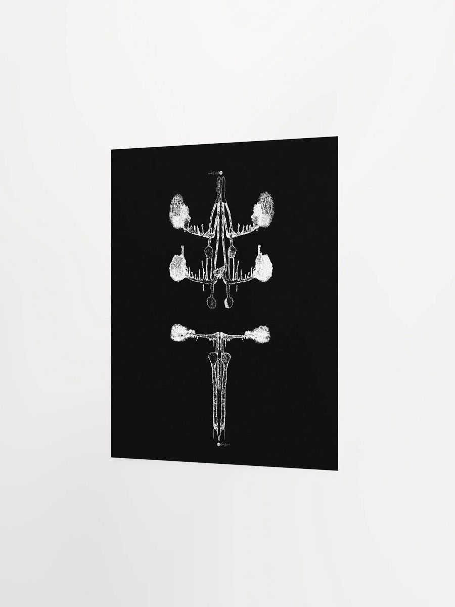 Inkblot no.4 | Poster/Print | 8x10 product image (2)