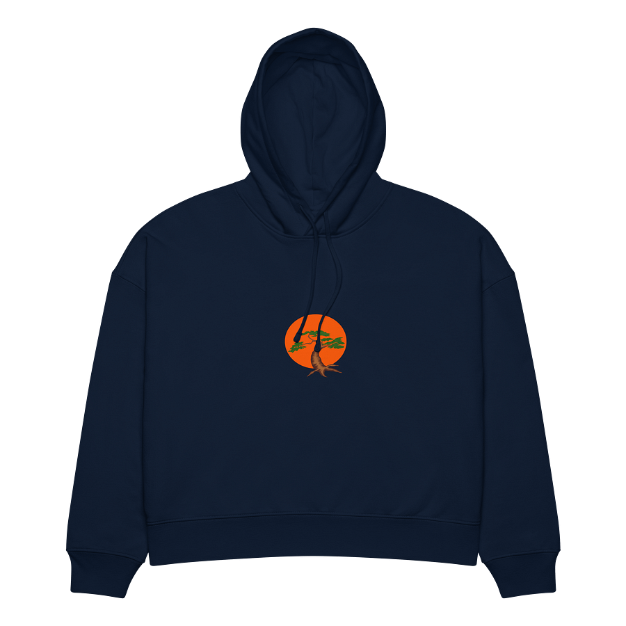 Sunset Serenity Organic Hoodie product image (3)