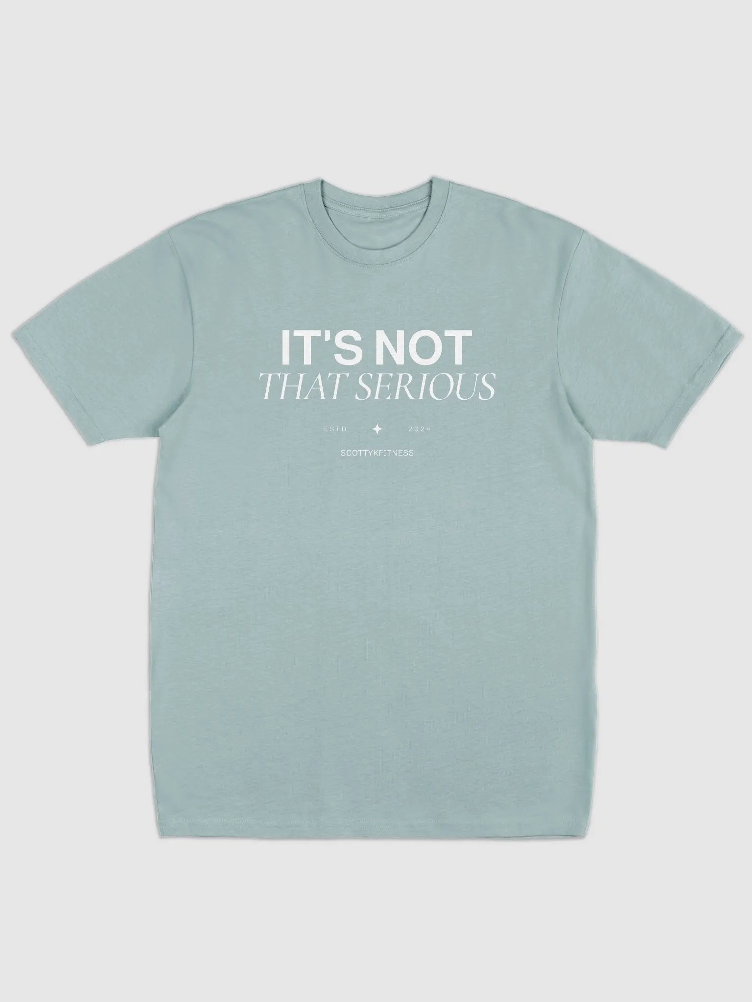 It's Not That Serious Unisex Heavyweight Tee product image (2)
