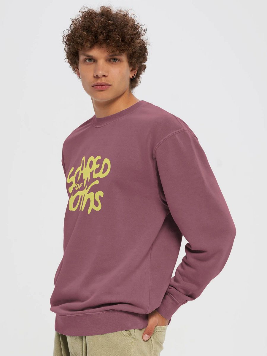 Vintage Scared of Moths Sweatshirt product image (3)